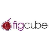 Figcube Solutions - Recruitment Agency Profile
