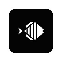 FindingNemo, INC - Recruitment Agency Profile