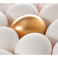 Gabriel & Associates - Recruitment Agency Profile