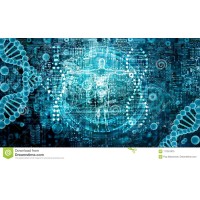 Glines Associates - Recruitment Agency Profile