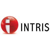 Intris Consulting - Recruitment Agency Profile
