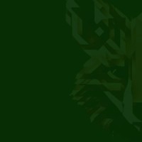 island fox - Recruitment Agency Profile