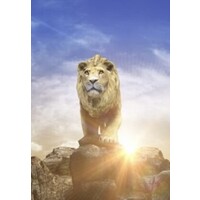 Kaler Consulting - Recruitment Agency Profile