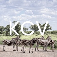 KCV Executives - Recruitment Agency Profile