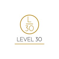 LEVEL30 - Recruitment Agency Profile