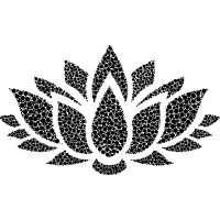 Lotus Executive Search - Recruitment Agency Profile