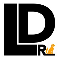 Lucky Dog Recruiting - Recruitment Agency Profile