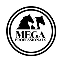 Mega Professionals - Recruitment Agency Profile
