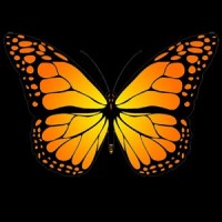 Monarch Executive Recruiting - Recruitment Agency Profile