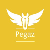 Pegaz Recruitment - Multilingual Recruitment Specialists - Recruitment Agency Profile