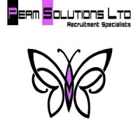 Perm Solutions Ltd - Recruitment Agency Profile