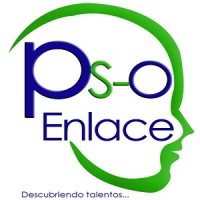 PSO Enlace - Recruitment Agency Profile