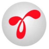 Rapisource Company - Recruitment Agency Profile