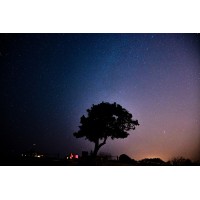 Rocket Juice Consulting, Inc. - Recruitment Agency Profile