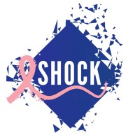 Shock Intérim & Recrutement Réunion - Recruitment Agency Profile