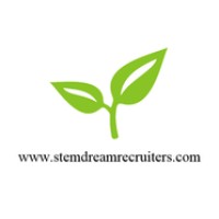 STEM and DREAMER RECRUITERS - Recruitment Agency Profile