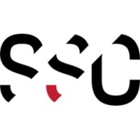 Swords Steel - Recruitment Agency Profile