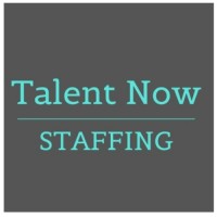 Talent Now Staffing - Recruitment Agency Profile