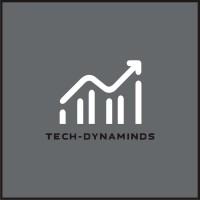 Tech Dynaminds - Recruitment Agency Profile