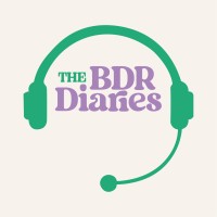 The BDR Diaries - Recruitment Agency Profile