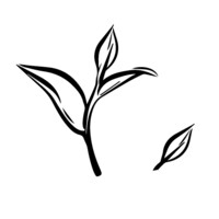 The Nellie Group - Recruitment Agency Profile