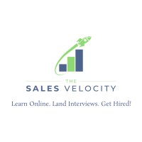The Sales Velocity - Recruitment Agency Profile
