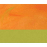 The Van Riper Company - Recruitment Agency Profile