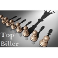 Top Biller - Recruitment Agency Profile