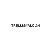 TrellisFalcon International Private Limited - Recruitment Agency Profile