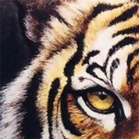 Unisource NTC - Recruitment Agency Profile