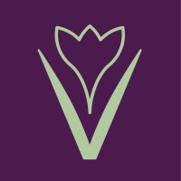 Vernus Consulting - Recruitment Agency Profile