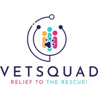VetSquad - Recruitment Agency Profile