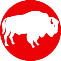 White Buffalo Consultants - Recruitment Agency Profile