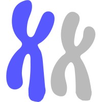 XX Chromosome - Recruitment Agency Profile