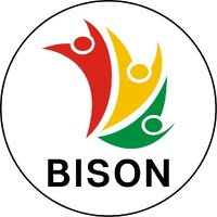 Bison Ltd - Recruitment Agency Profile