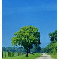 Fiducia Executive Search - Recruitment Agency Profile