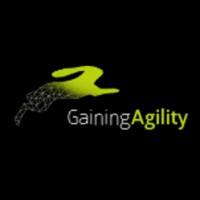 Gaining Agility - Recruitment Agency Profile