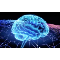 Great Brains Solutions - Recruitment Agency Profile