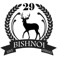 Hi - Recruitment Agency Profile