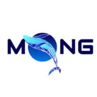 MONG Talent Market - Recruitment Agency Profile