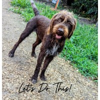 The Burch Group - Recruitment Agency Profile