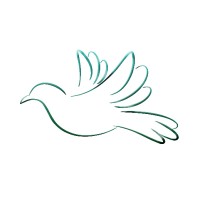 WazayfToday - Recruitment Agency Profile